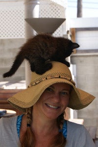 Little kitten playing on a woman's hat