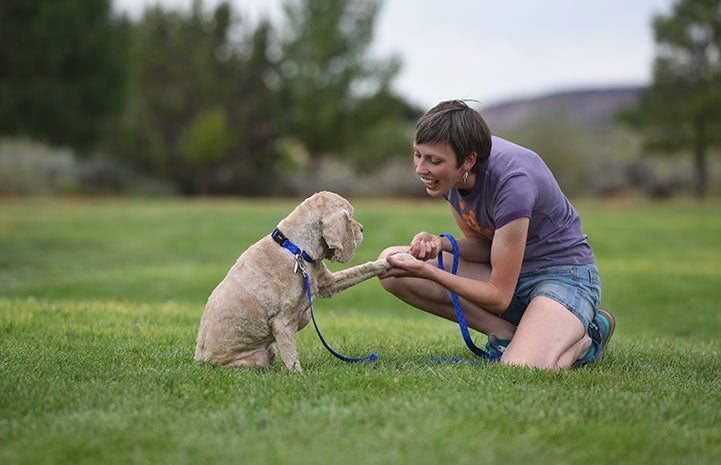 Stephanie Peters shaking Butterscotch the spaniel mix's paw