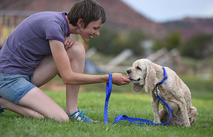 Stephanie Peters connected with Butterscotch the spaniel mix during her internship