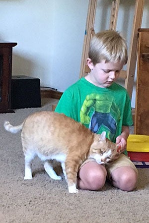 Harry the cat and Fred, a little boy with autism, becoming friends