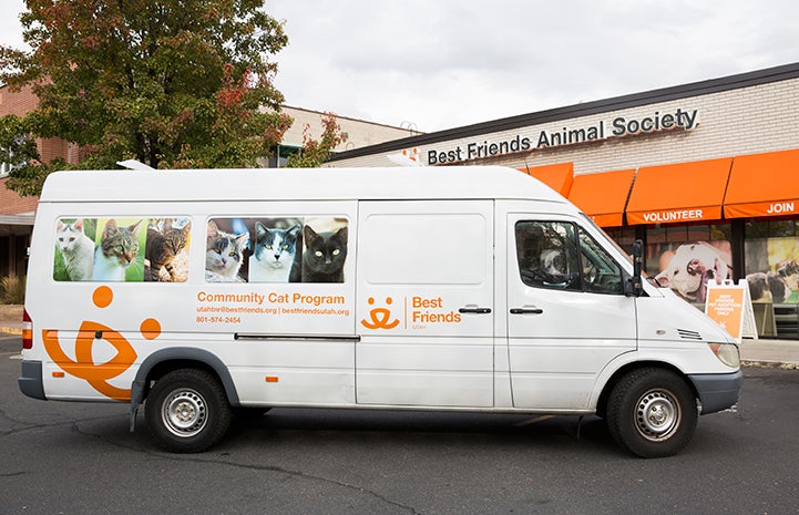 Community cat van