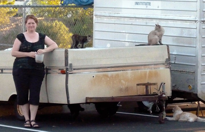 Volunteer Cheryl Collins with a community cat colony