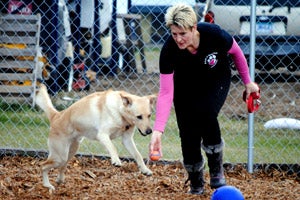 Brenda helping at 4 Love of Dog Rescue in North Dakota