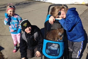 Beazley getting a stroller ride