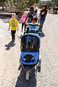 Kids taking a cat for a stroller ride a Kids Camp at Best Friends Animal Sanctuary in Southern Utah