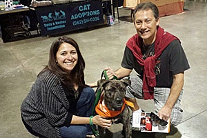 Calistoga the brindle dog with her new adoptive family