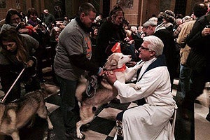 Blessing of the Animals in New York