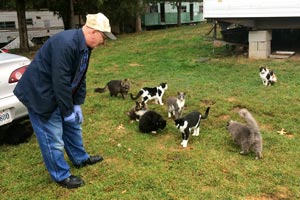 Man handing out Blue Buffalo treats to colony cats