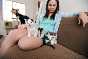 Carrie and the Texas litter of kittens