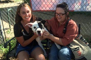 Belinda the shelter dog adopted in her new home
