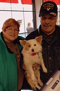 Chevy the Papillon is adopted