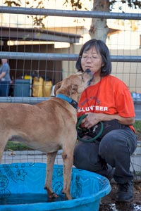 Volunteer Luci giving and receiving affection from a timid dog from a hoarding case