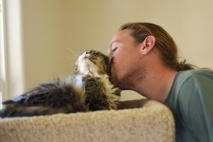 Drigger the cat enjoying affection from his caregiver