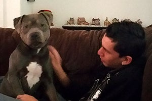 Roxy the pit bull and Joey who has Asperger's syndrome, a form of autism