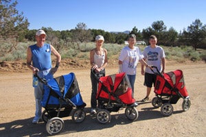 Group of cats in strollers with volunteers at Best Friends Animal Sanctuary