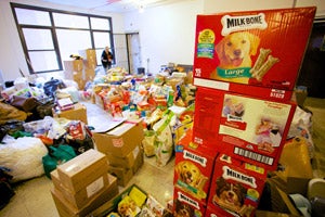 Donations for the animal victims of Superstorm Sandy