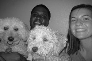 Funion the poodle with his new adoptive family