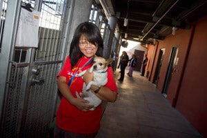 Volunteer dog trainer at L.A. animal shelter holding a dog