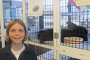 10-year-old Helen at the Peninsula Humane Society & SPCA