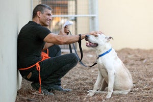 Ranger the high-energy dog and John enjoying a moment during training