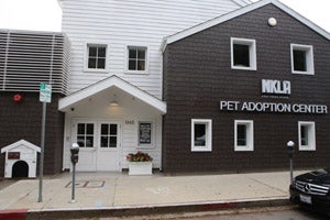 NKLA Pet Adoption Center in West Los Angeles