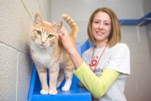 Julie Brueck with Oso the tabby cat