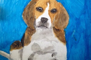 Another of Kat's paintings of a beagle. Kat is a young artist.