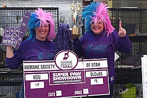 Winners of the Super Paw Showdown, an animal adoption event in Utah