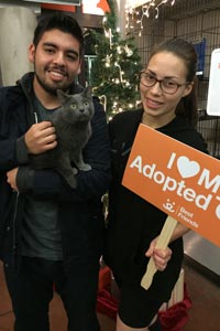 Tiffany the cat found a loving home with a couple