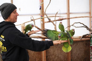 Ina-Yoko Teutenberg makes friends with the Amazon parrot at Best Friends Animal Sanctuary