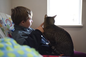 Jacob and Mister the cat watching birds