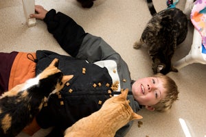 Child volunteer Jacob playing with the FELV-positive cats at Best Friends Animal Sanctuary
