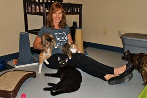 Kim Kamins, founder of Fearless Kitty Rescue, with some of the cats
