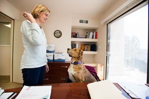 Digby the dog with lupus enjoys his job at the Best Friends human resources office