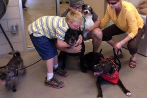 Speck the black dog with his new family