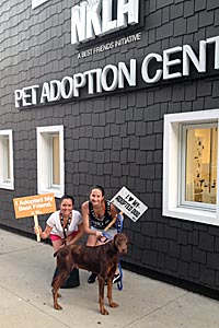 The 1,000th adoption at the NKLA Pet Adoption Center