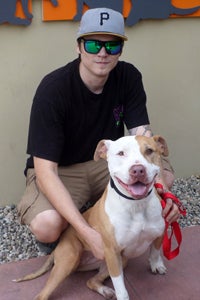 Marcee the pit bull terrier who wants to be an only dog and Daniel Carr