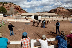 Horses participating in the Rehoming for Life program at Best Friends Animal Sanctuary