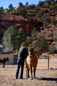 Hamilton the pony with a trainer