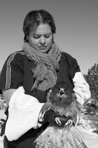 Carmen and the red-tailed hawk 