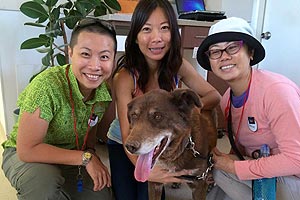 Keystone the dog with Jacq, Gennet, and Jaclyn, volunteers from Singapore
