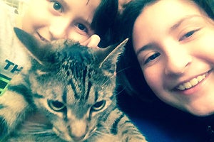 Steve-O the tabby cat and his new family