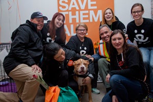 Tank the pit bull terrier posing with Best Friends New York staff