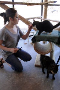 Becky Verona volunteering at Cat World at Best Friends Animal Sanctuary