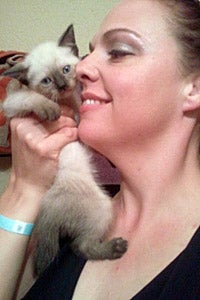 Woman snuggling a Siamese kitten