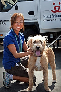 Volunteer with cute scruffy dog