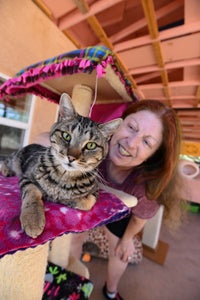 Lyn makes a new feline friend at Cat World