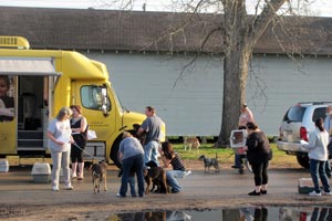 Spay-Neuter Assistance Program (SNAP) loading animals in Wharton County, Texas