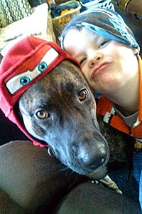 Willow the pitbull dog was helped by Voiceless-MI 