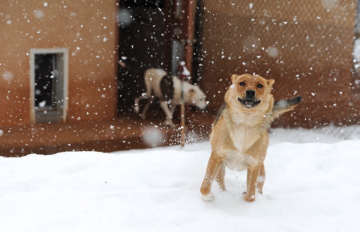 Weeee, it’s a snow day!